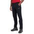 MONTANE Tenacity pants