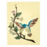 Фото #1 товара Jockomo AS Hummingbird Inlay Sticker