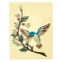 Jockomo AS Hummingbird Inlay Sticker