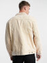 Фото #2 товара Weekday milton oversized washed cord jacket in cream