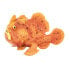 Фото #1 товара Фигурка Safari Ltd Frogfish Figure Amazing Ocean Creatures (Удивительные существа океана)