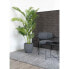 Фото #3 товара Dekopalme Areca