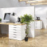 Фото #2 товара Искусственные цветы hjh OFFICE Kunstpflanze FICUS I