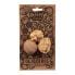 OLI&CAROL Nutty The Nut Teether