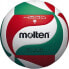 Фото #1 товара Мяч волейбольный Molten V5M4500