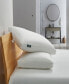 White Goose Feather & Down Fiber Side Sleeper 2-Pack Pillow, Standard/Queen