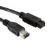 ROLINE IEEE1394b FireWire Cable - 9/6-pin - 400Mbit/s - Type A-B 1.8 m - FireWire 800 (IEEE 1394b) - 6-p - 9-p - Black - Male/Male - 400 Mbit/s