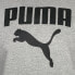 Фото #5 товара Худи Puma Framed Up Grey Casual