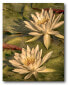 Фото #1 товара Lotus Dream Gallery-Wrapped Canvas Wall Art - 16" x 20"