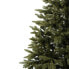 Weihnachtsbaum Christbaum Fichte