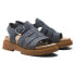 ფოტო #5 პროდუქტის TIMBERLAND Clairemont Way Fisherman Sandals