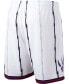 ფოტო #4 პროდუქტის Men's White Toronto Raptors Hardwood Classics Swingman Shorts