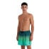 Фото #1 товара O´NEILL Jack Cali Gradient 15´´ Swimming Shorts