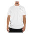 Фото #2 товара The North Face Mount Out Tee