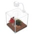 ფოტო #1 პროდუქტის MARINA Betta Cubus 3.4L aquarium kit