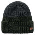 BARTS Arctic Beanie