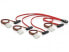 Delock Cable mini SAS 36pin to 4x SAS 29pin - Red - 0.5 m - Mini SAS 36pin/4 SAS 29pin + 5¼” Power