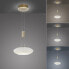 Фото #8 товара LED Pendellampe Q ETIENNE Smart Home