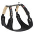 ფოტო #1 პროდუქტის FERPLAST Giotto P Harness