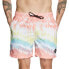 MYSTIC Artwork Swimming Shorts