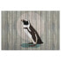 Wandbild Pinguin Born To Be Wild