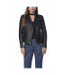 Фото #3 товара Women's Felix Asymmetrical Moto Jacket With Wing Collar