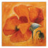 Wandbilder Blume Mohnblumen Orange