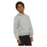 DICKIES Youth Oakport hoodie