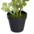 Decorative Plant Polyester Polyethylene Iron Flower 12,5 x 12,5 x 37 cm