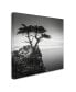 Фото #2 товара Dave MacVicar 'The Lone Cypress' Canvas Art - 18" x 18" x 2"