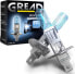 Фото #1 товара Gread Set of 2 Halogen Lamps in Xenon Look, Super White, 8500k, H1 to H11