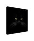 Фото #2 товара Lori Hutchison 'Black Cat Centered' Canvas Art - 18" x 18"