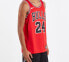 Фото #5 товара Кроссовки Nike Workout Basketball_Vest Nike NBA SW 24 864465-664
