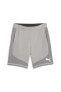 Фото #1 товара Evostripe Shorts 8 Erkek Şort