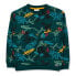 Фото #1 товара TUC TUC New Era Sweatshirt