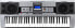 Фото #1 товара McGrey PK-6110 Keyboard (61 Keys, 100 Tones, 100 Rhythms, Learning Function, Power Supply, Music Stand)