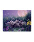 Фото #1 товара Kirk Reinert 'Moon Babies' Canvas Art - 18" x 24"