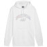 Puma Ess+ Logo LAB Gradient Hoodie FL M 681775 02