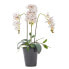 Фото #1 товара Künstliche weiße Phalaenopsis-Orchidee