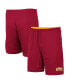 ფოტო #5 პროდუქტის Men's Cardinal, Gold USC Trojans Wiggum Reversible Wordmark Shorts