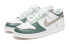 【定制球鞋】 Nike Dunk Low 野鹤制造 夏日风 复古色系 特殊礼盒版 低帮 板鞋 GS 青石绿 特殊礼盒版 / Кроссовки Nike Dunk Low GS DH9765-100