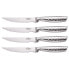 San Ignacio Acer Inox Origin Collection Knives Set 4 Units Chrome Plated - фото #1