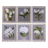 Painting DKD Home Decor Fir Crystal 50 x 60 x 2,8 cm 50 x 2,8 x 60 cm Flowers (6 Pieces)