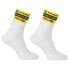 AGU Visma | Lease a Bike 2024 socks