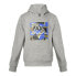 Children’s Hoodie Kappa Clot Grey