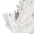 Decorative Figure White Coral 29 x 20 x 21 cm