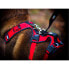 Фото #5 товара I-DOG Confort Trek Harness
