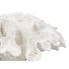 Decorative Figure White Coral 30 x 30 x 11 cm