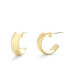 ფოტო #1 პროდუქტის 14K Gold Plated Blake Hoops Earrings