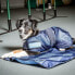 BACK ON TRACK Haze Collection Dog Jacket